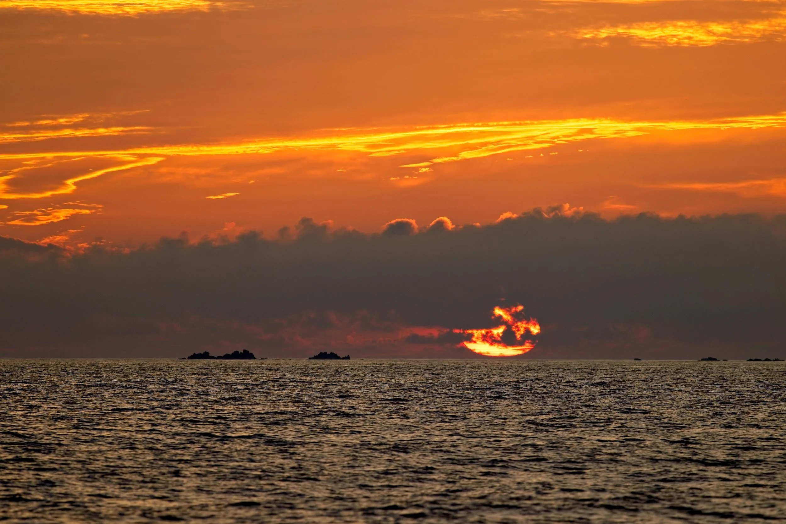 Activities — Honeysuckle Cottage - Isles of Scilly