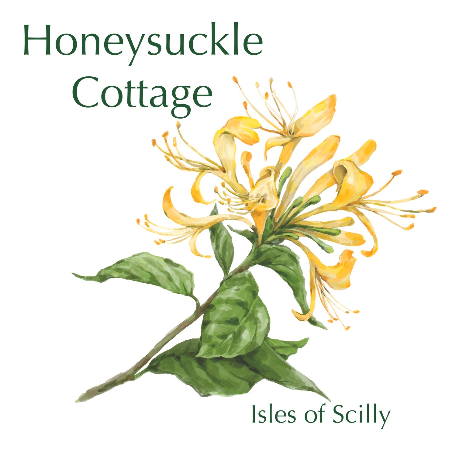 Honeysuckle Cottage - Isles of Scilly