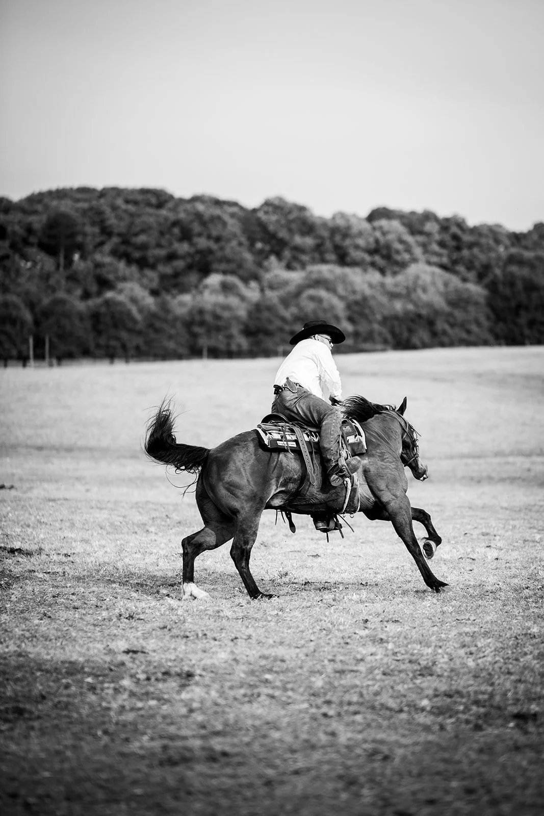 DSCF7335-2.jpg