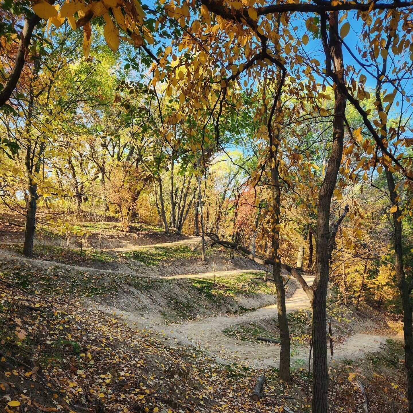 Who says Omaha can't have nice things?

I'm stoked to play a small role in creating more spaces like this in Nebraska.