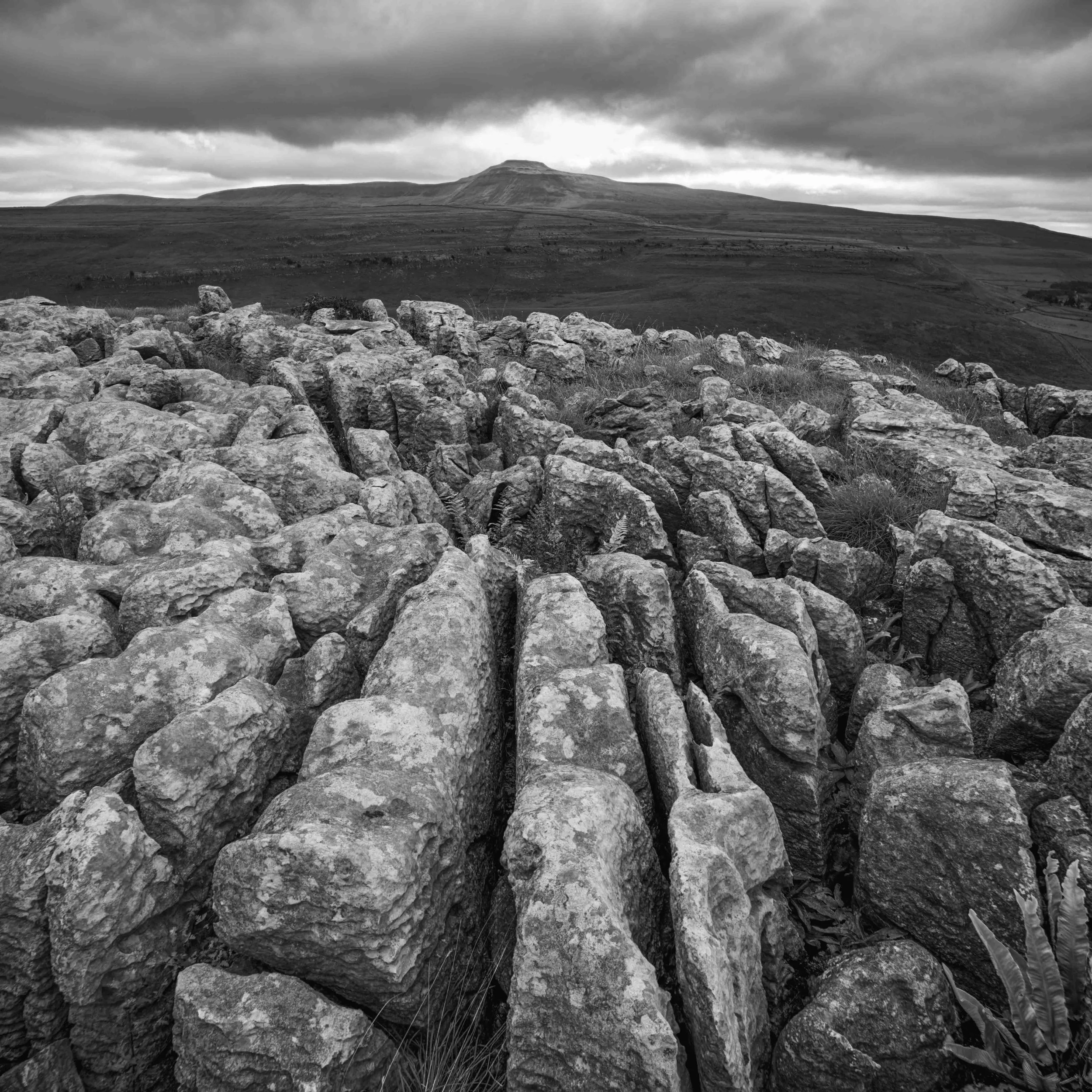 Keld Head Scar Limestone.jpg