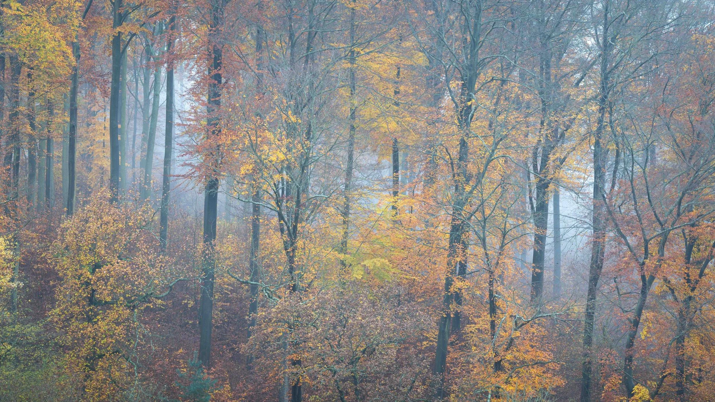 Bornisch Leiselfeld Mist.jpg