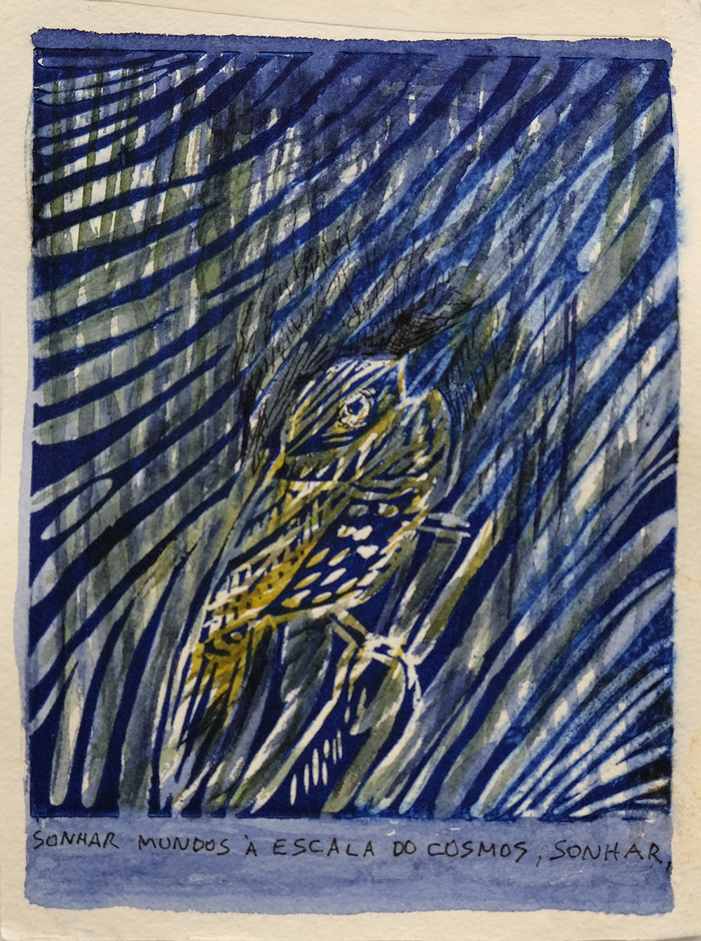 Renata Cruz
Watercolor on linoleocut, 2025
15 x 11 cm