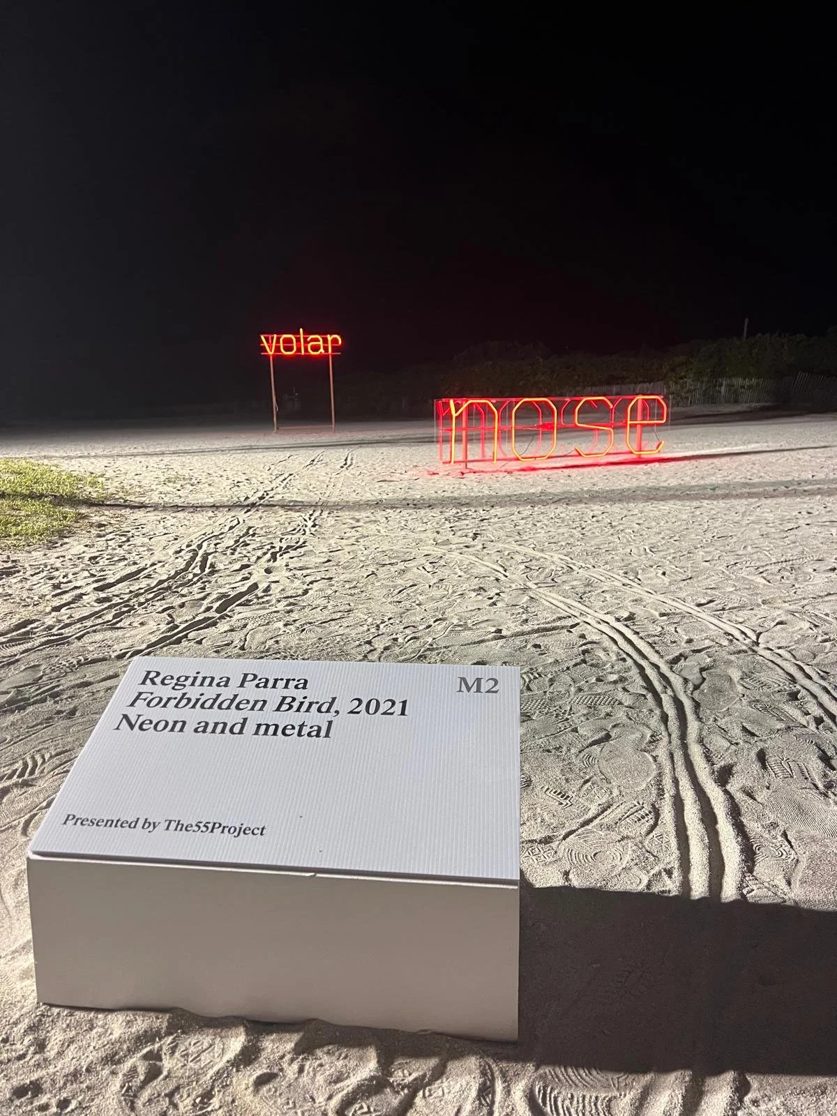 Nighttime beach scene with neon sign saying 'molse' and another sign saying 'volar'. A large white display board shows information: 'Regina Parra, Forbidden Bird, 2021, Neon and metal, Presented by The5Project'.