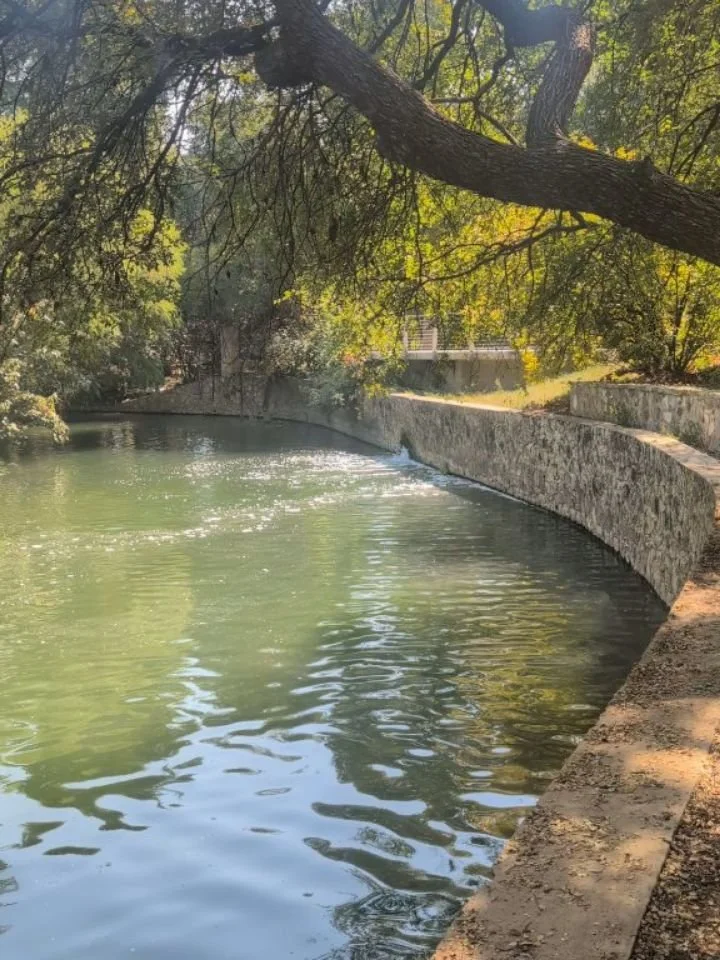 The world feels very loud right now. Took some time to slow down, center myself, and reset 🦆

This beautiful, peaceful park is courtesy of The Witte Museum near Downtown San Antonio TX.