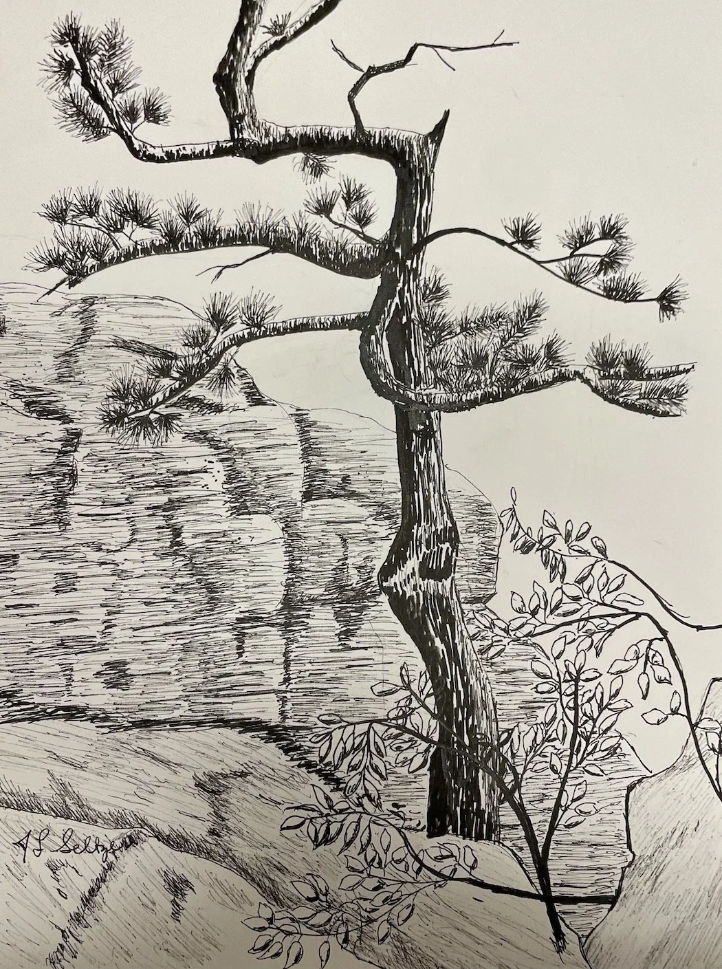 Lonesome Pine
9 x 12 inches
Ink on paper
$100