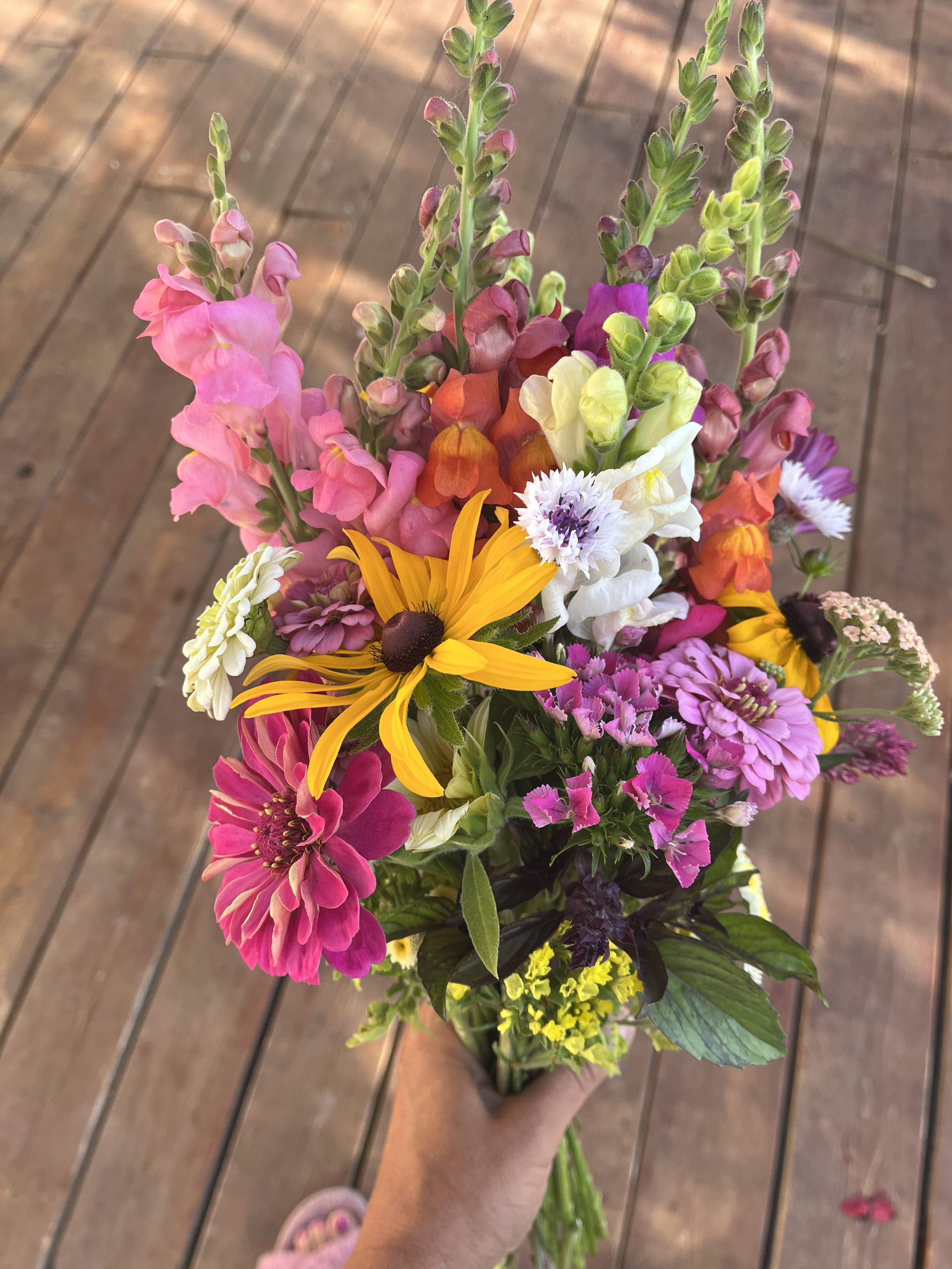 Spring Subscription
