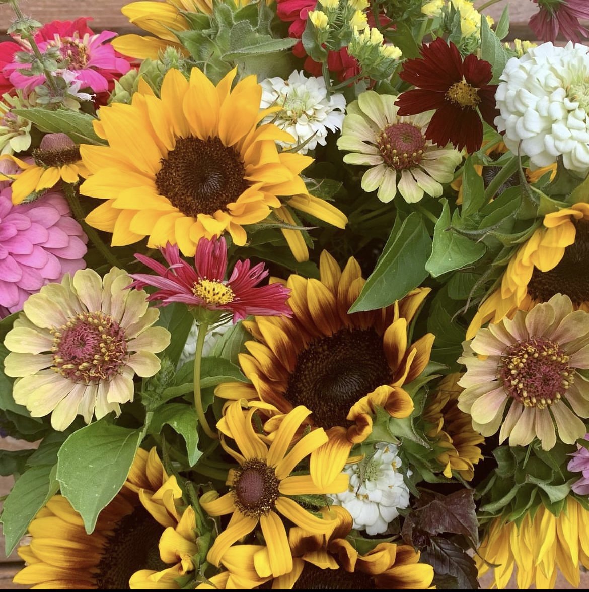 Late Summer Subscription