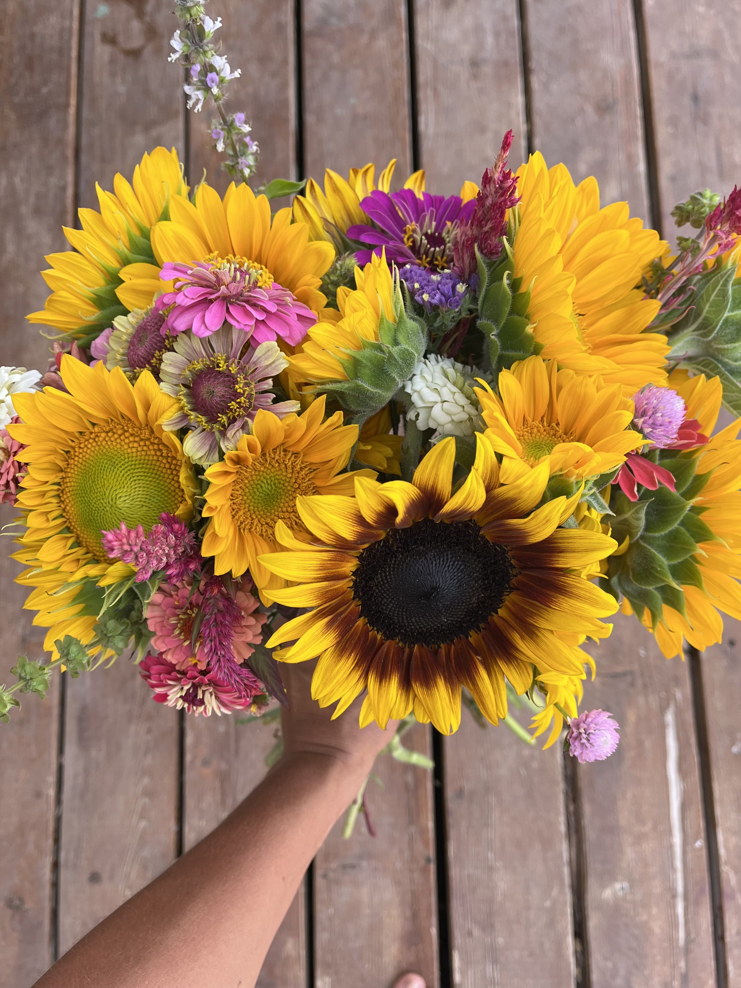 Summer/Fall Bundle