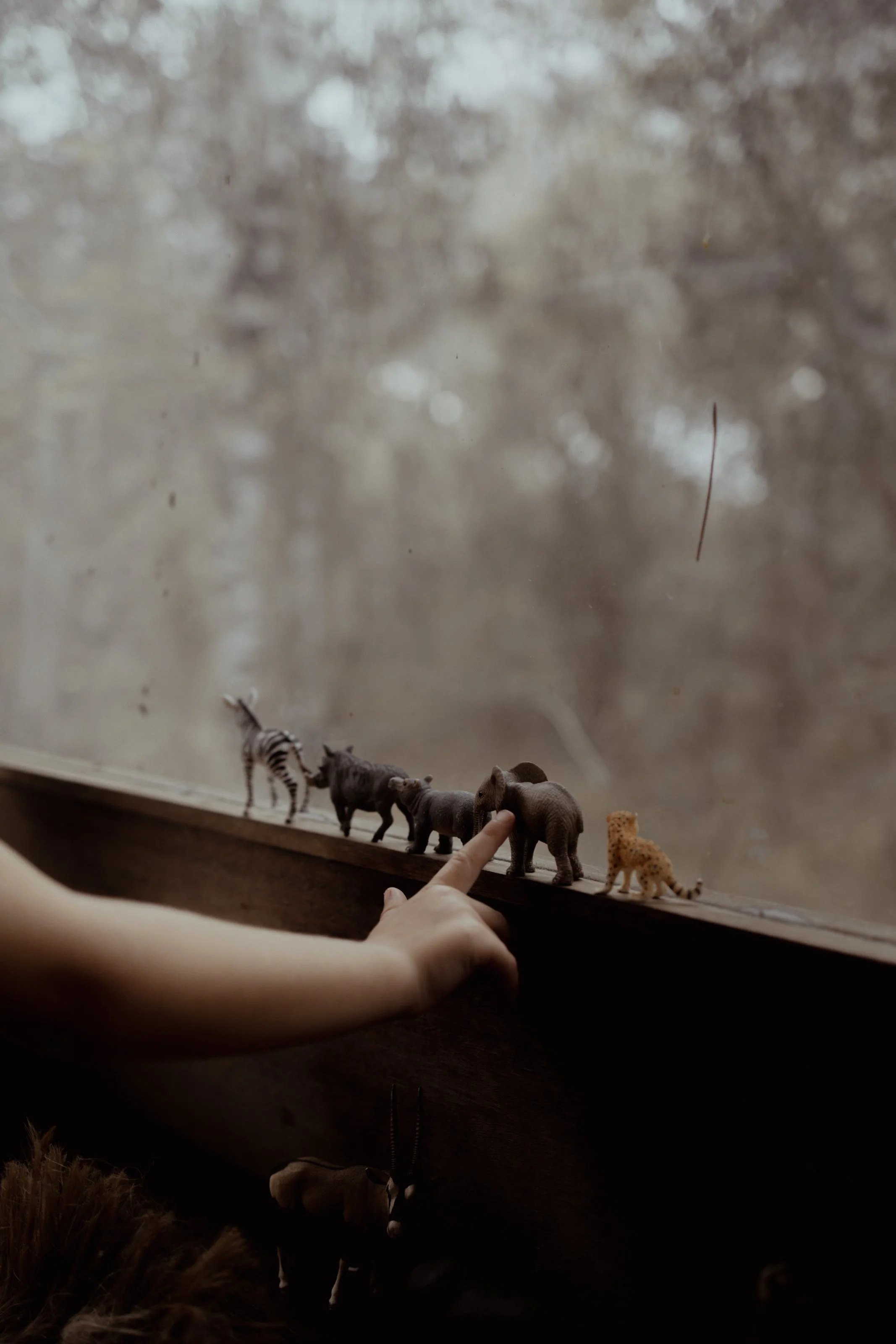 Eine Hand berührt eine kleine Elefantenfigur auf einer Fensterbank, neben weiteren Tierfiguren wie einer Giraffe, einem Zebra, einem Wildschwein und einem Löwen. Im Hintergrund sind verwaschene Bäume zu sehen.