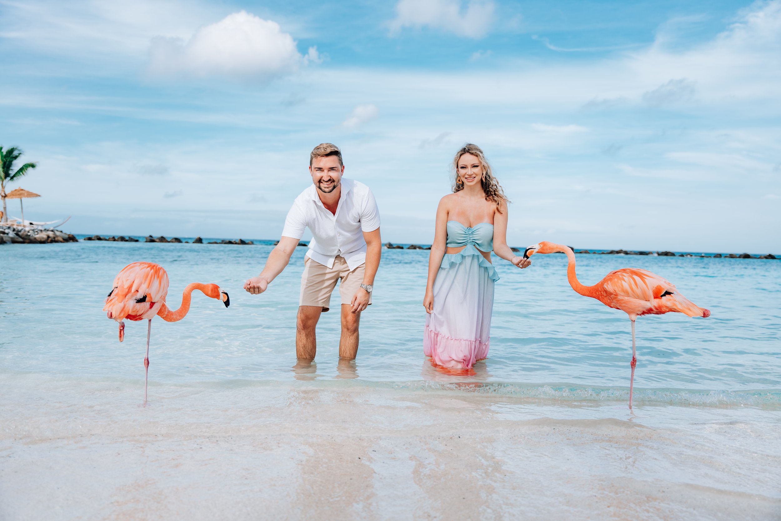 couple's photoshoot flamingo beach aruba renaissance island