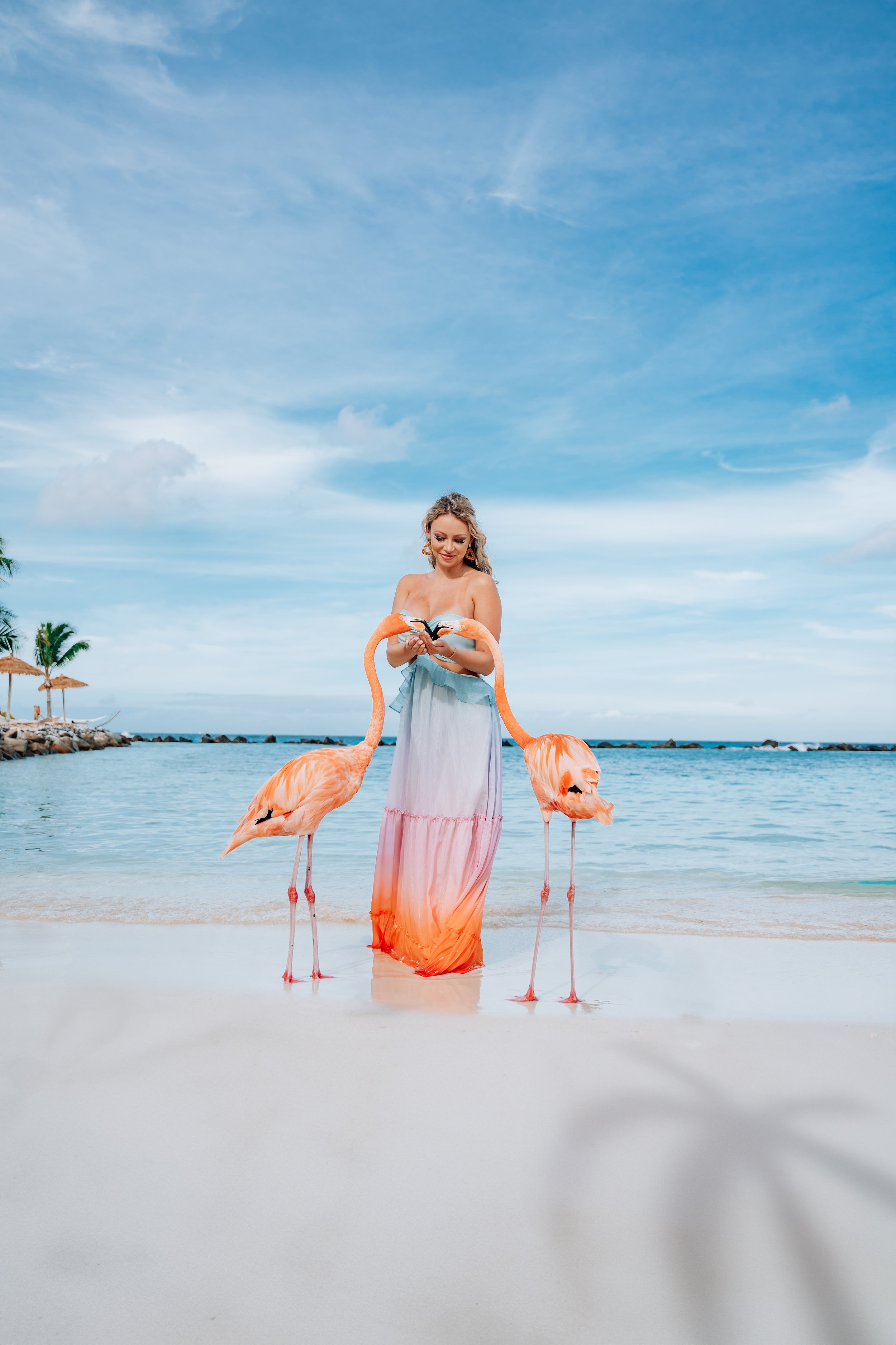 couple's photoshoot flamingo beach aruba renaissance island