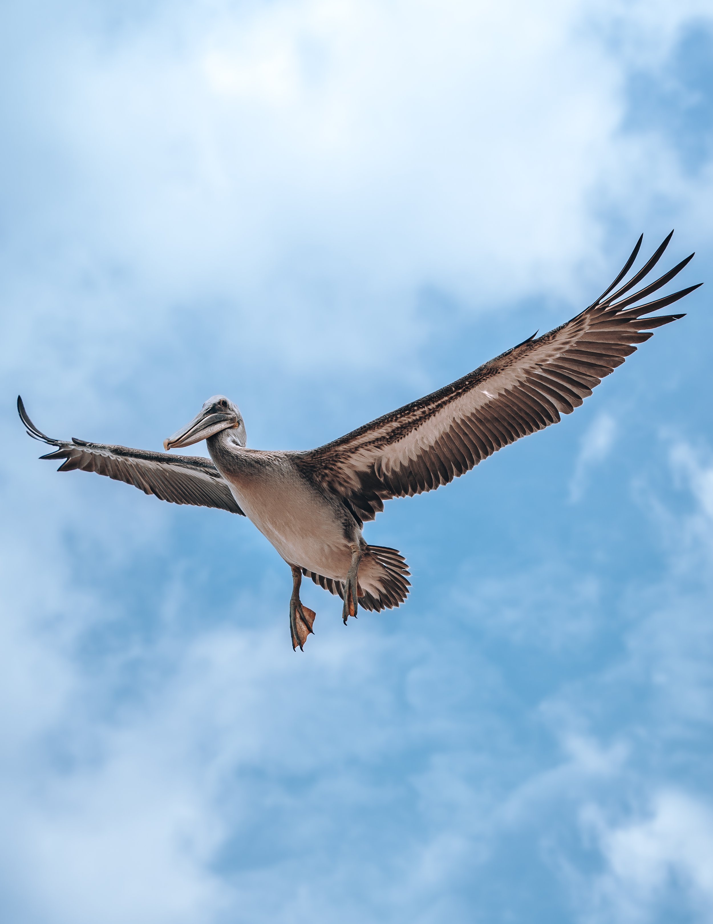 Photography highlights