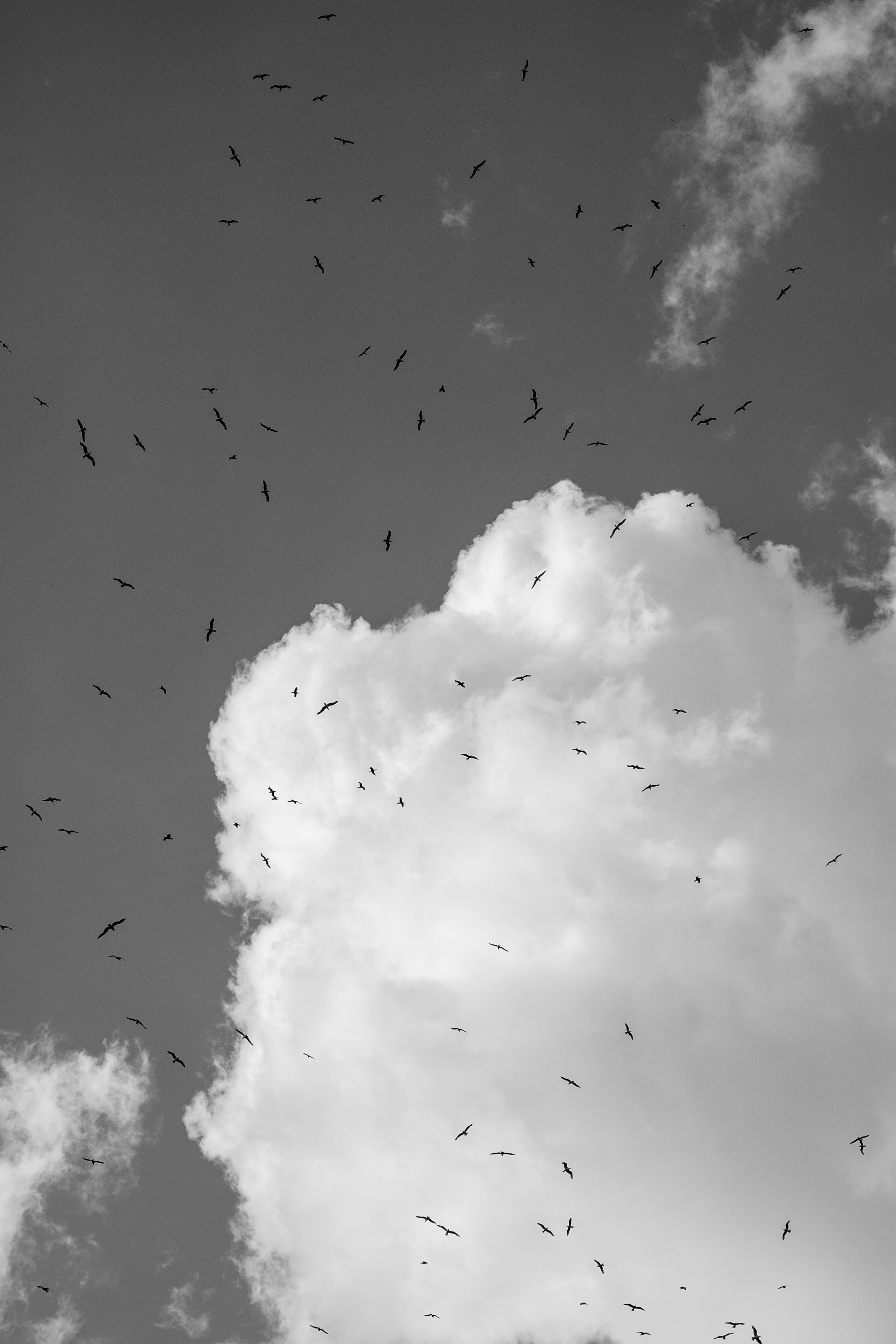 Photography highlights