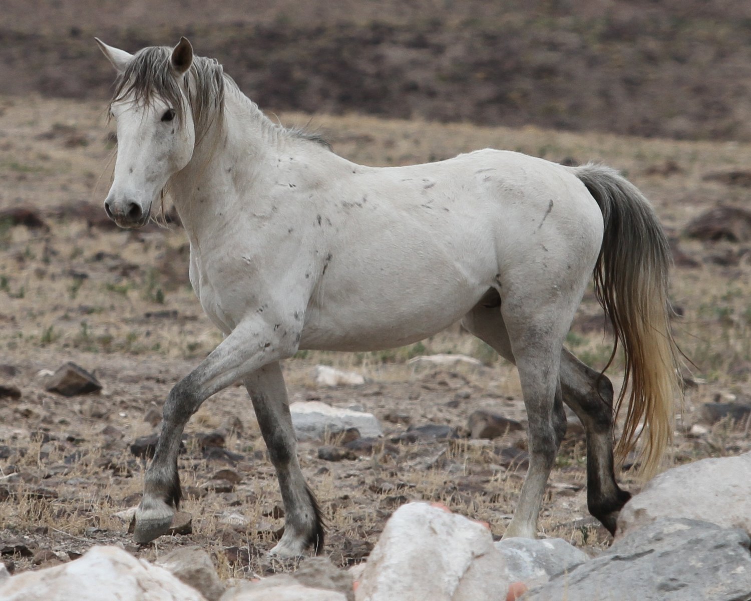 KAREN’S EXPERIENCE