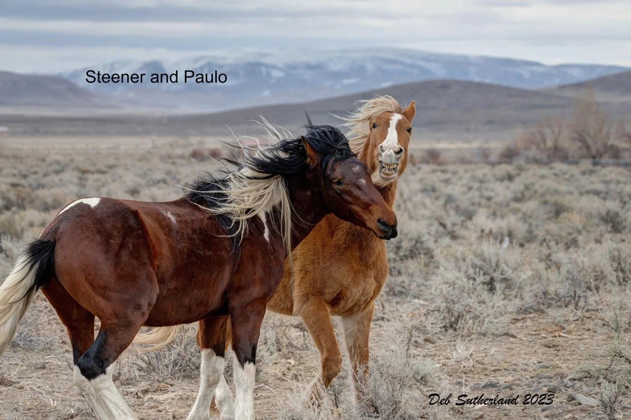 007A6413_-_-3_fused Paulo and Prince Steener send.jpeg