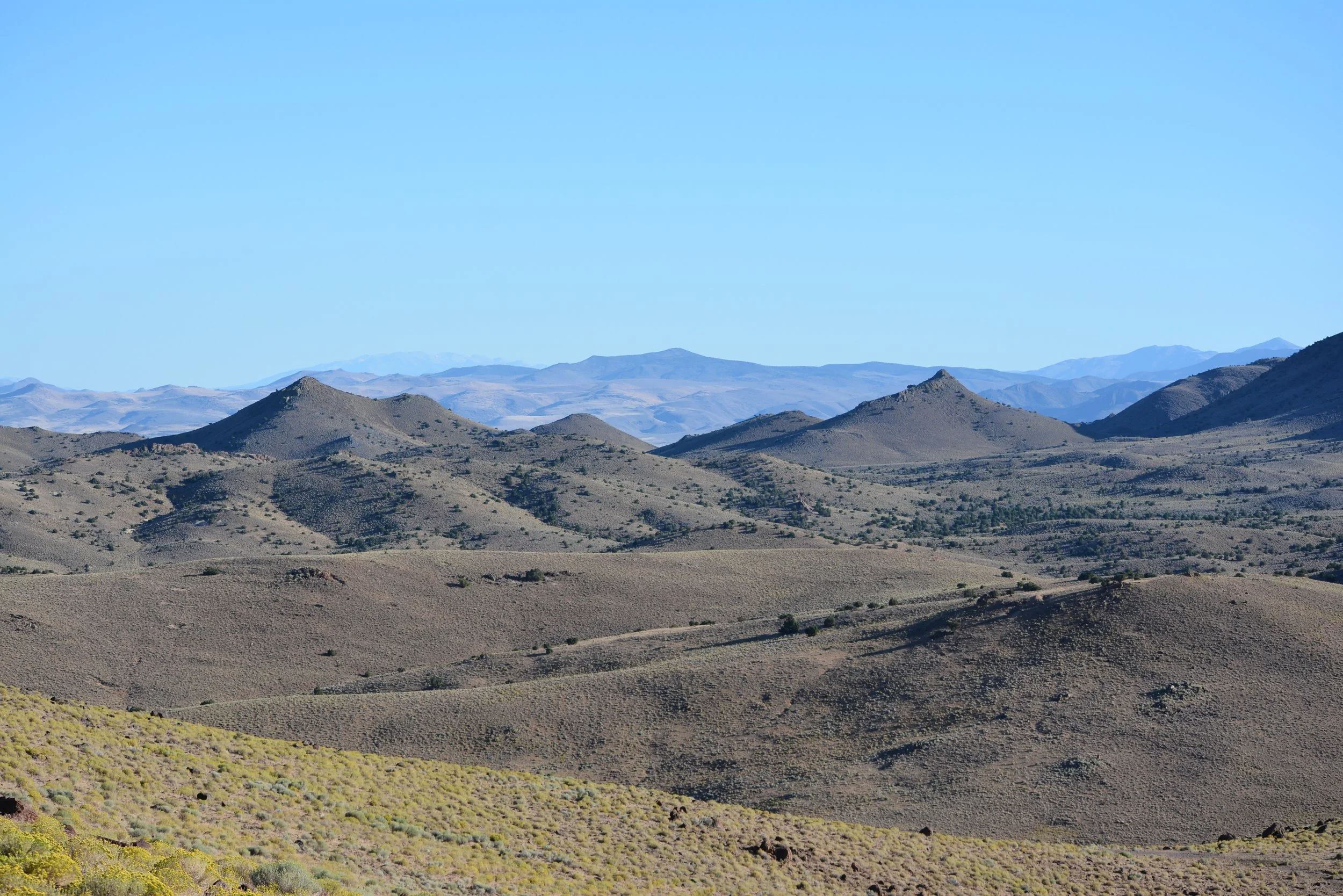 DSC_5432.JPG