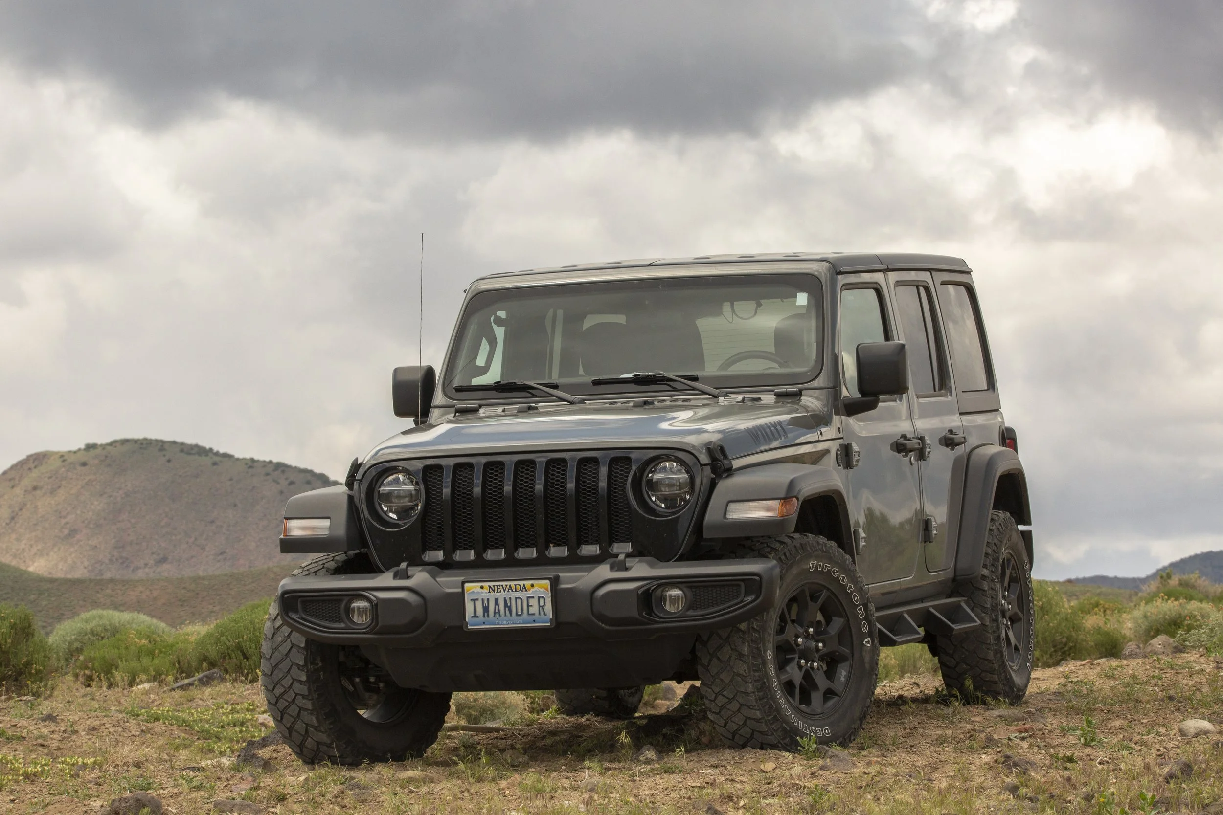 Wandering in the Virginia Range.jpg