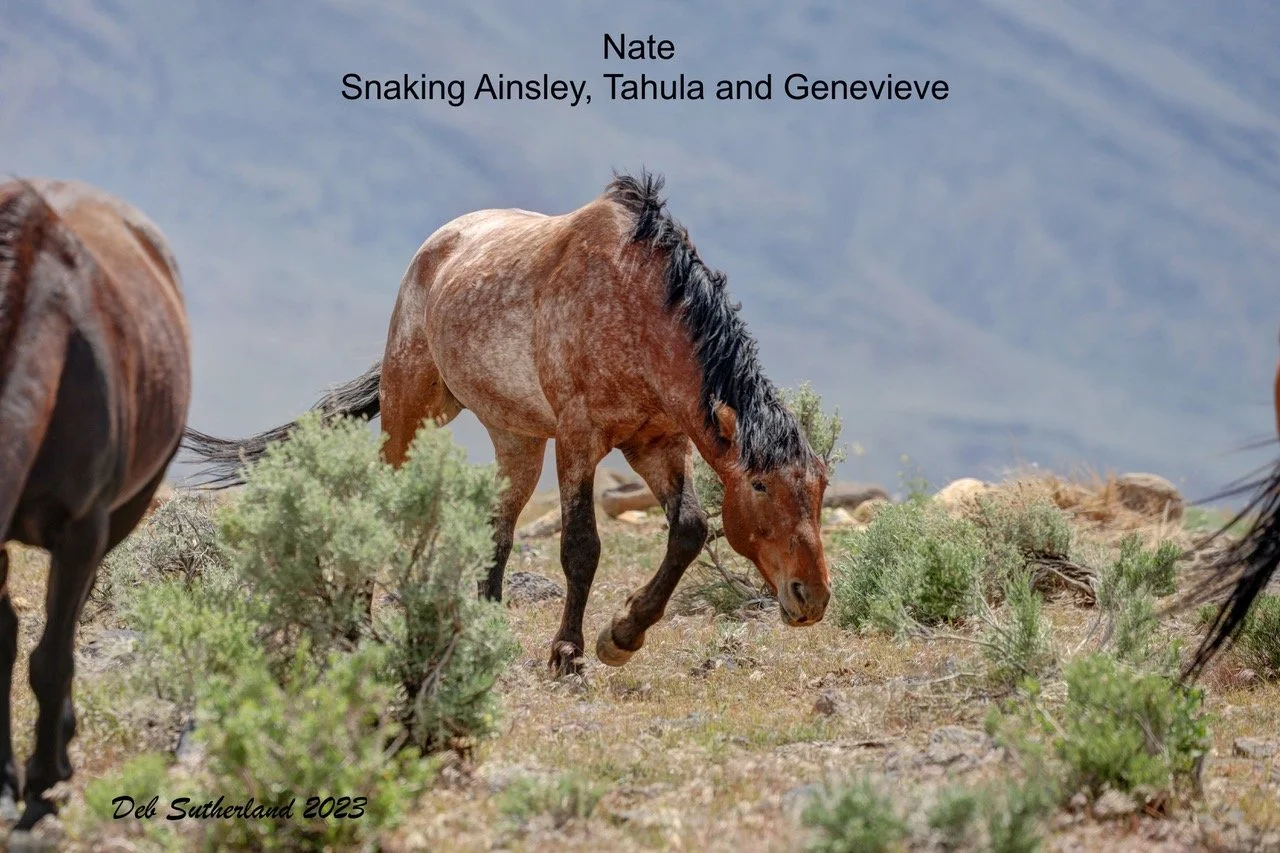 007A3093__-3_fused Nate Snaking.jpg send story.jpeg