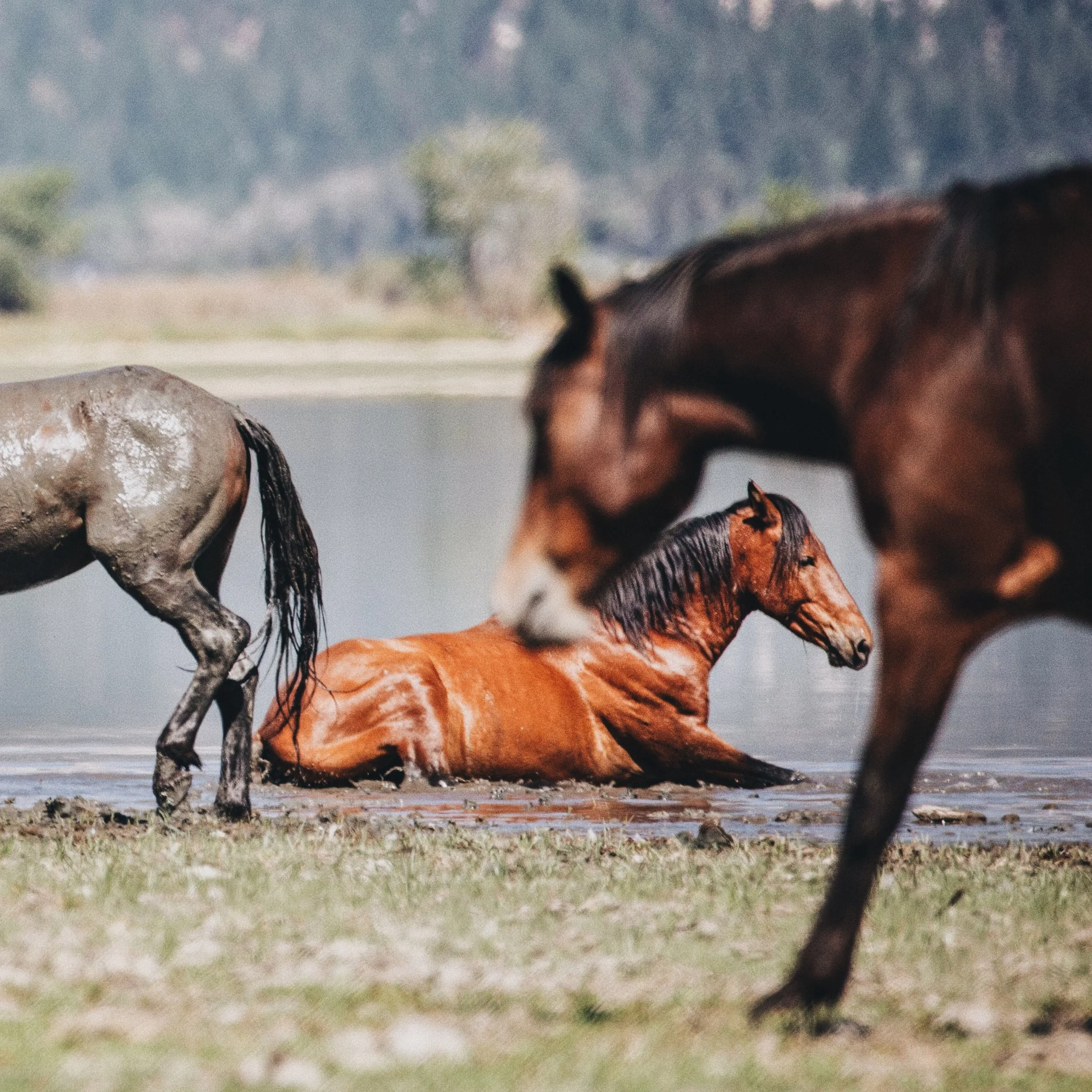 washoe lake VR 08:20:22_05.JPG