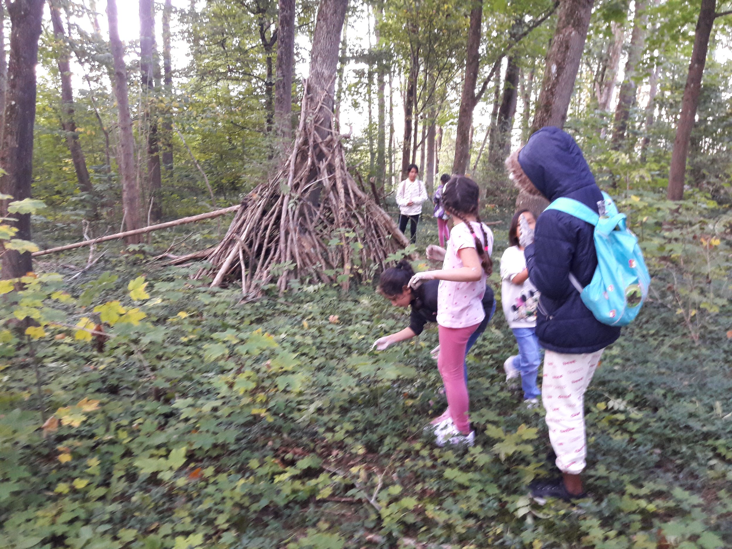 20200924_180509.jpg