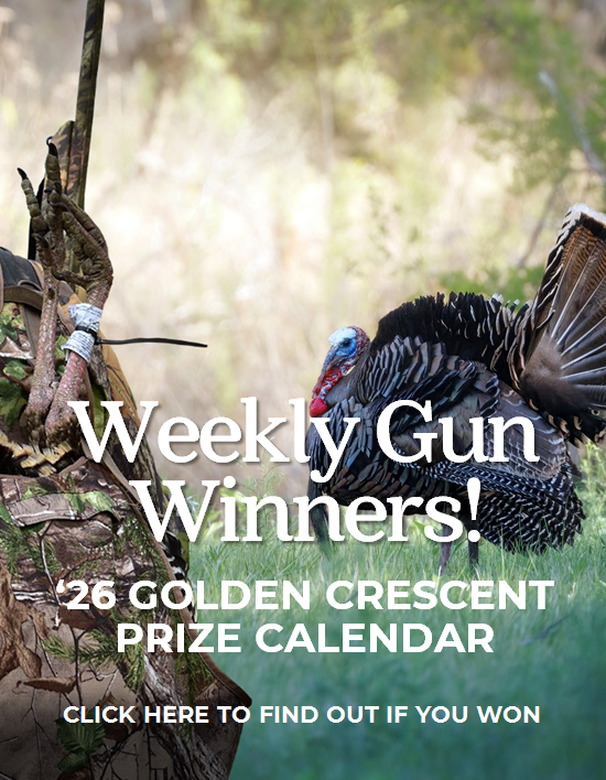 Did you win this week?