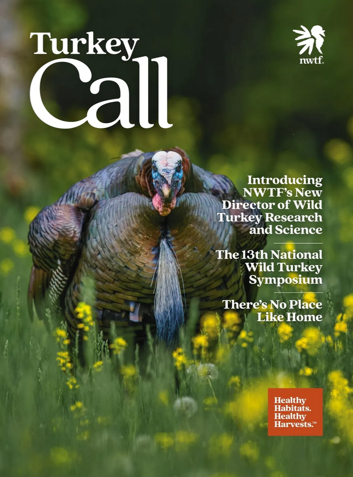 Read the latest issue here!