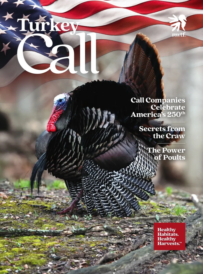 Read the latest issue here!