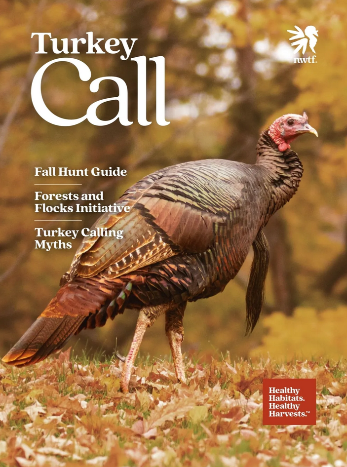 Read the latest issue here!