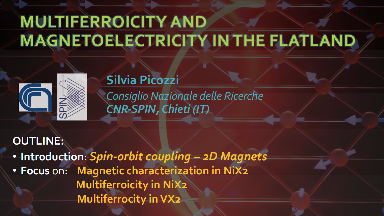 MULTIFERROICITY AND MAGNETOELECTRICITY IN THE FLATLAND