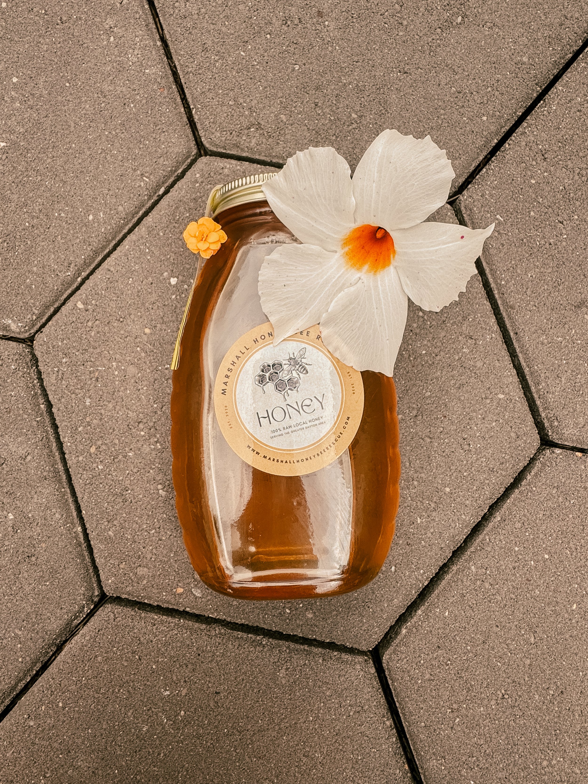 Local Honey - 1 lb - *Glass Jar