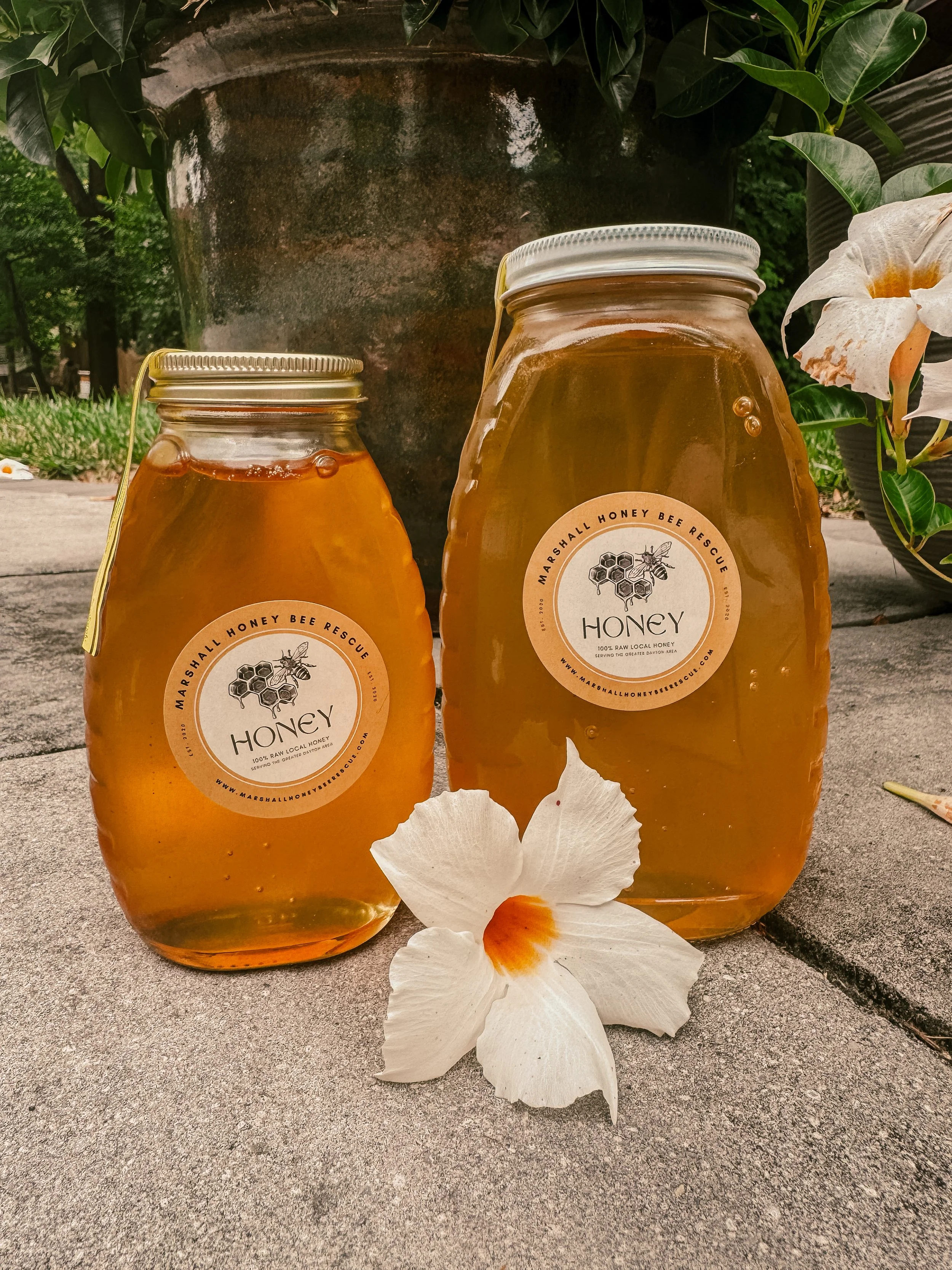 Honey-2.jpg