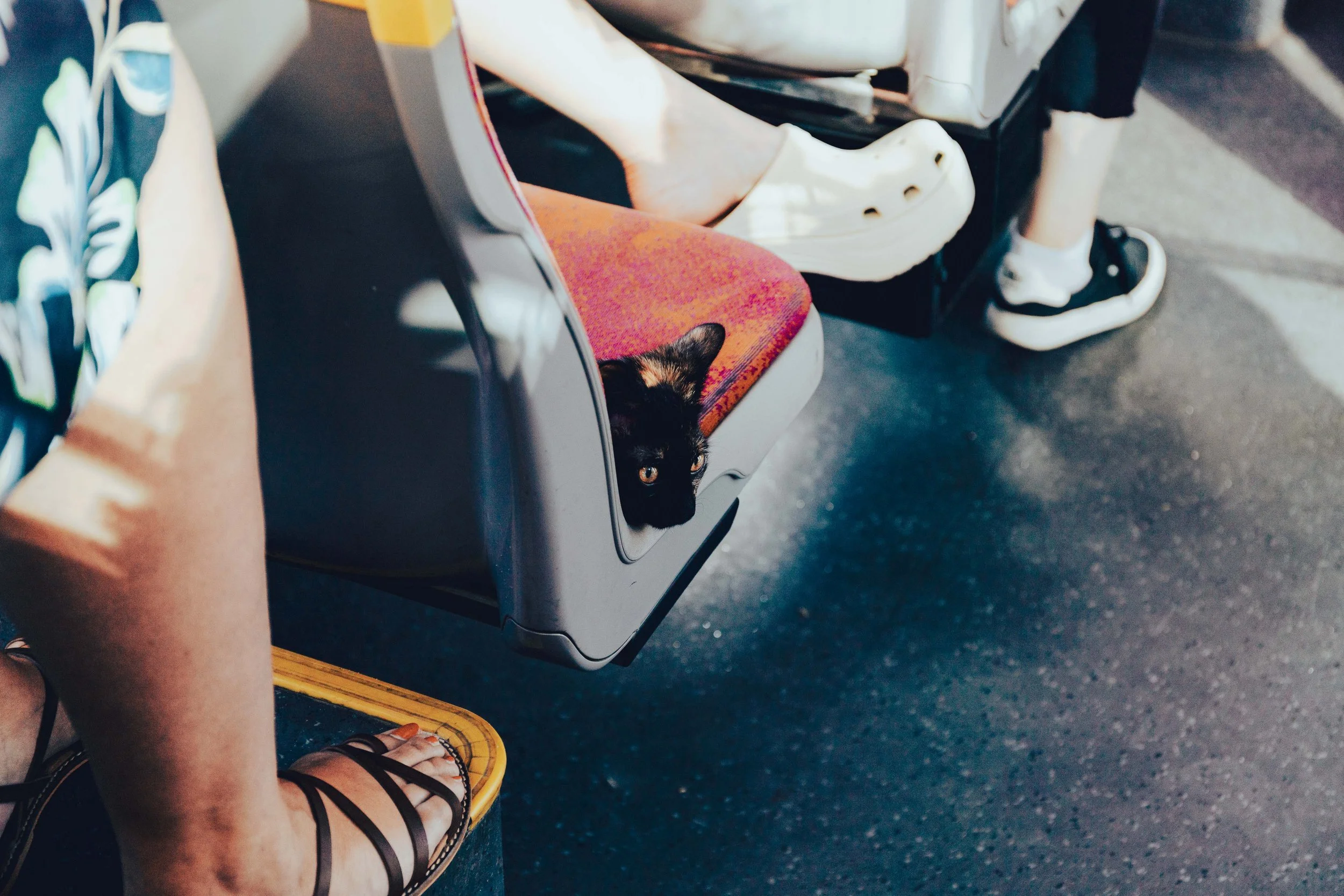 km 0188 _NW_1288.jpg