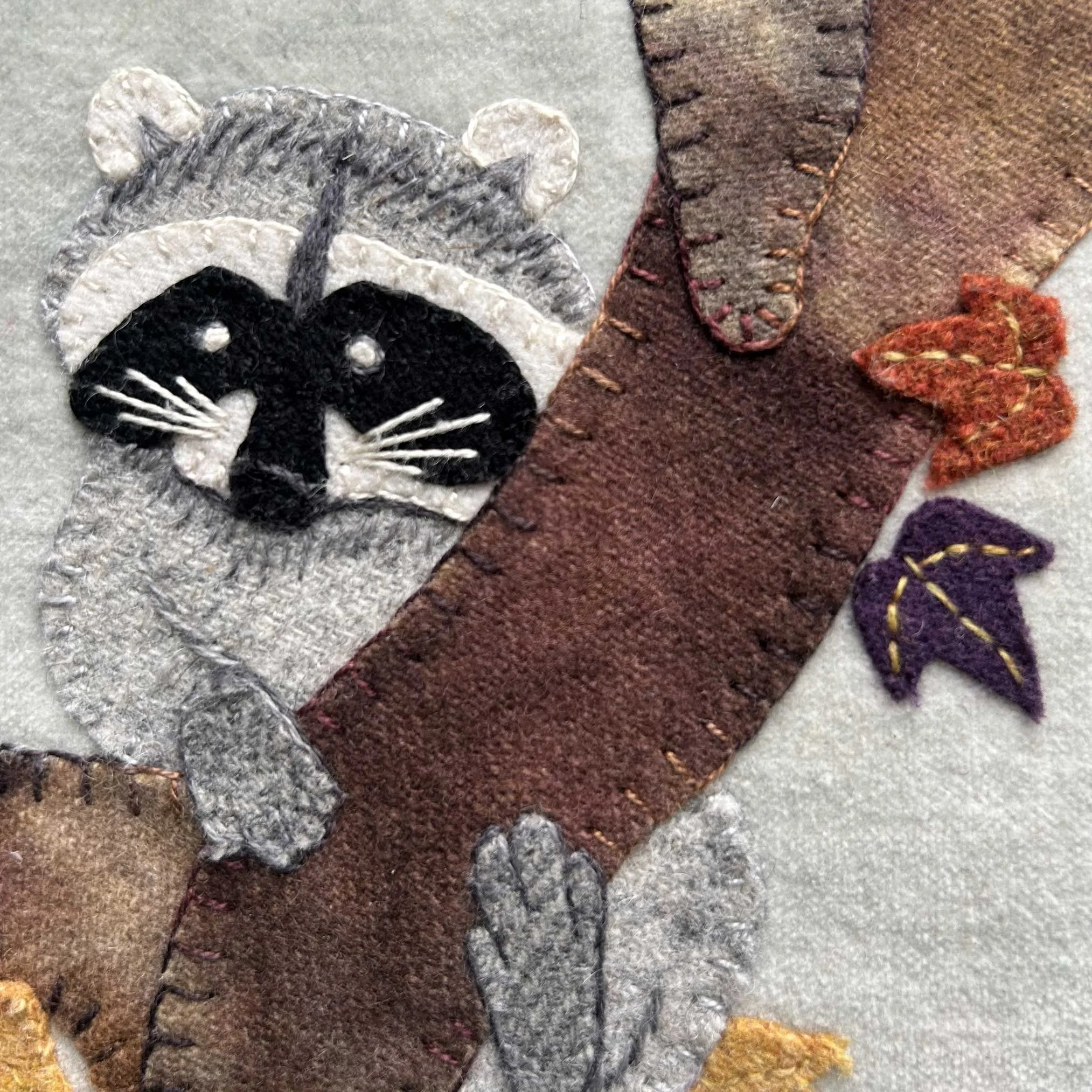 RileyRaccoon_Closeup.jpg