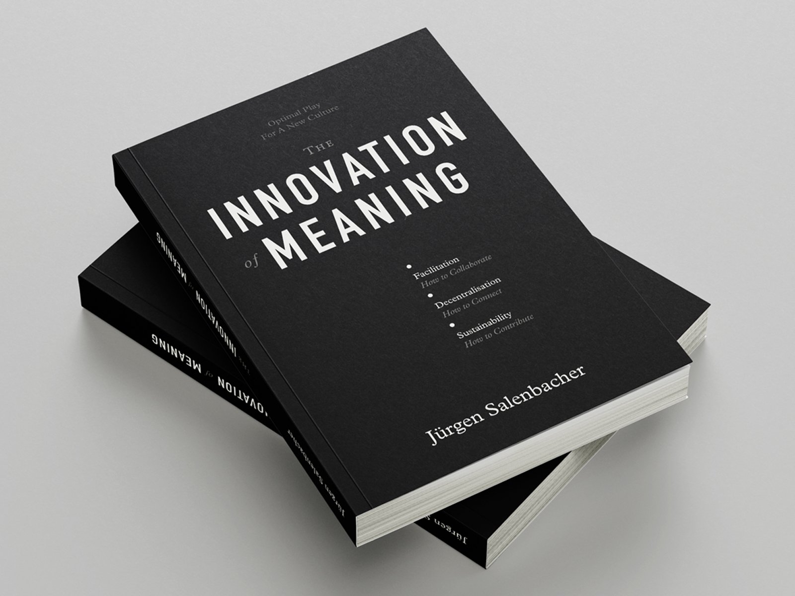 Innovation of Meaning Cover