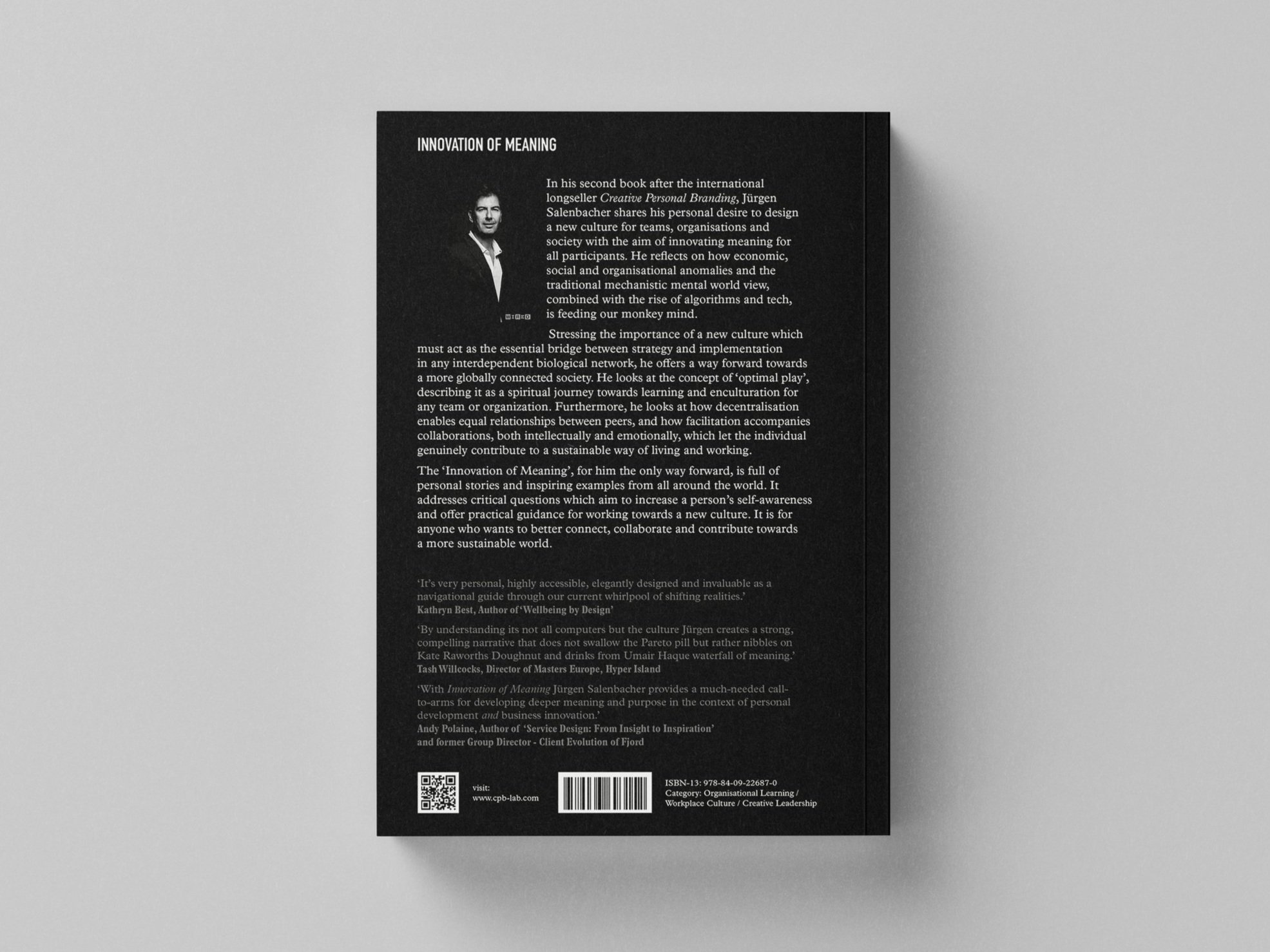 Innovation of Meaning Back Cover