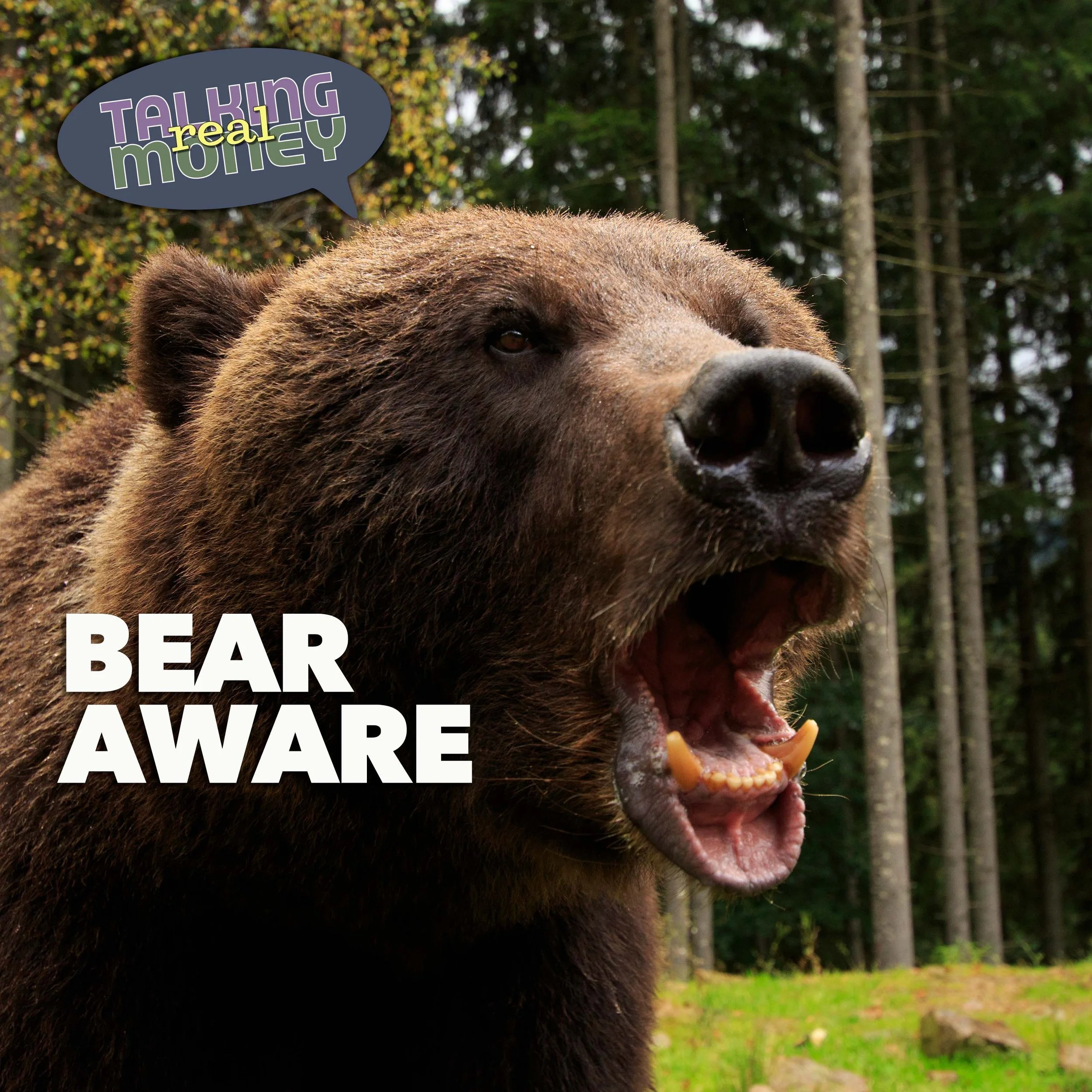 Prepare For Bear