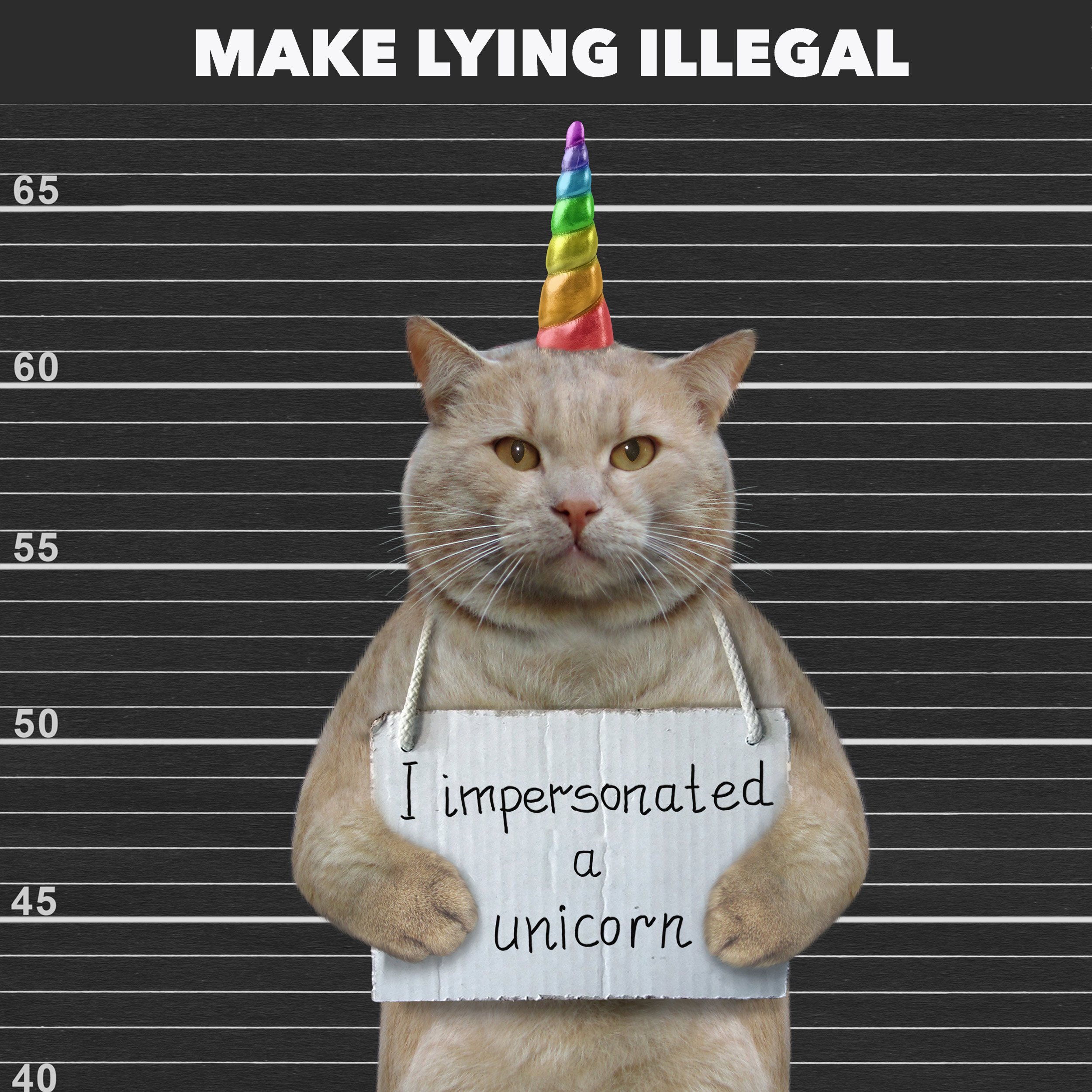 Stop the Financial Lies