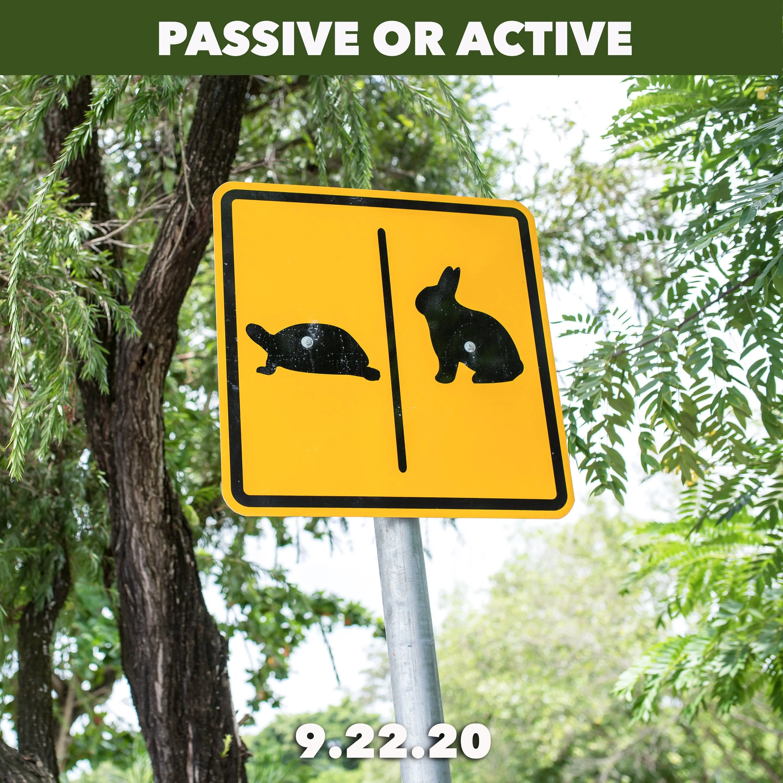 Passive Investing Lives On