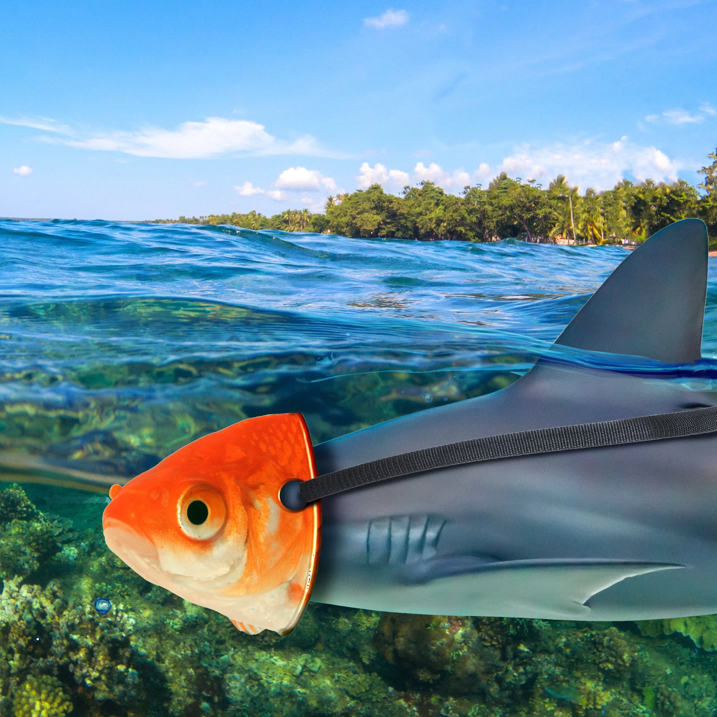 Easy Financial Protection