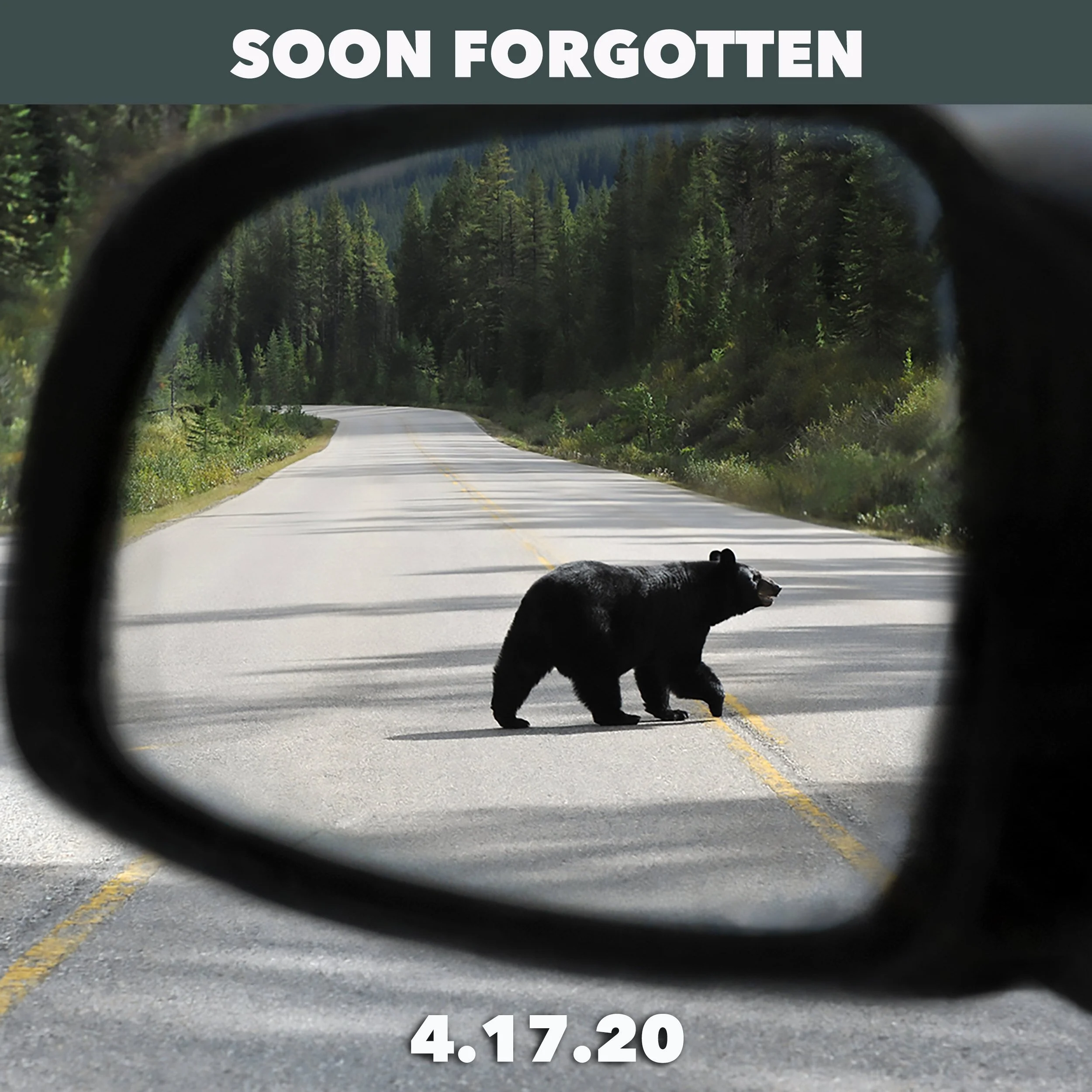 The Stock Market Almost Feels Normal