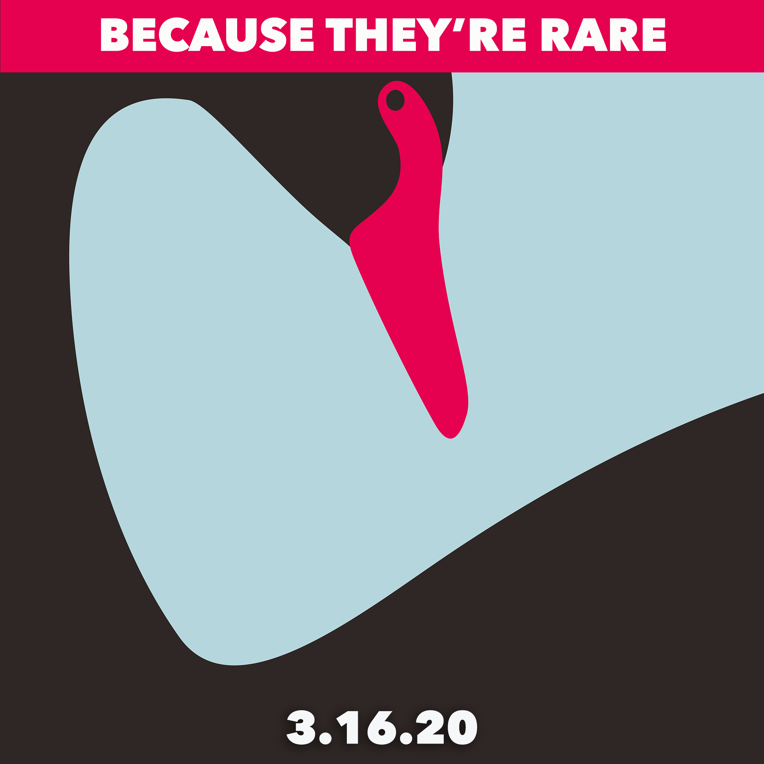 Black Swans: Rare But Not Unheard Of