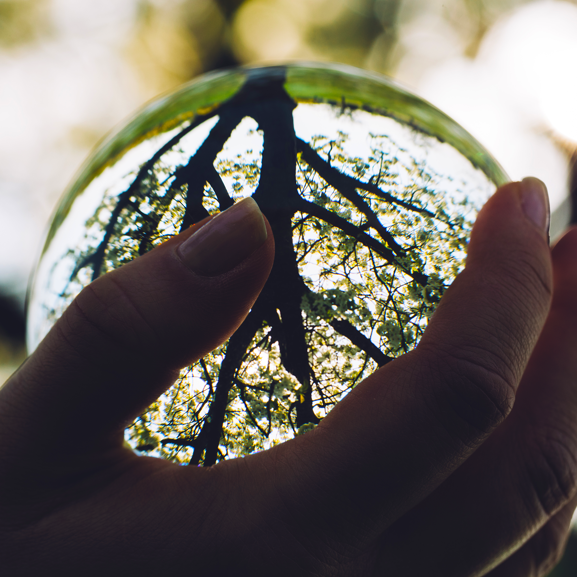 TIme for an emergency market perspective intervention