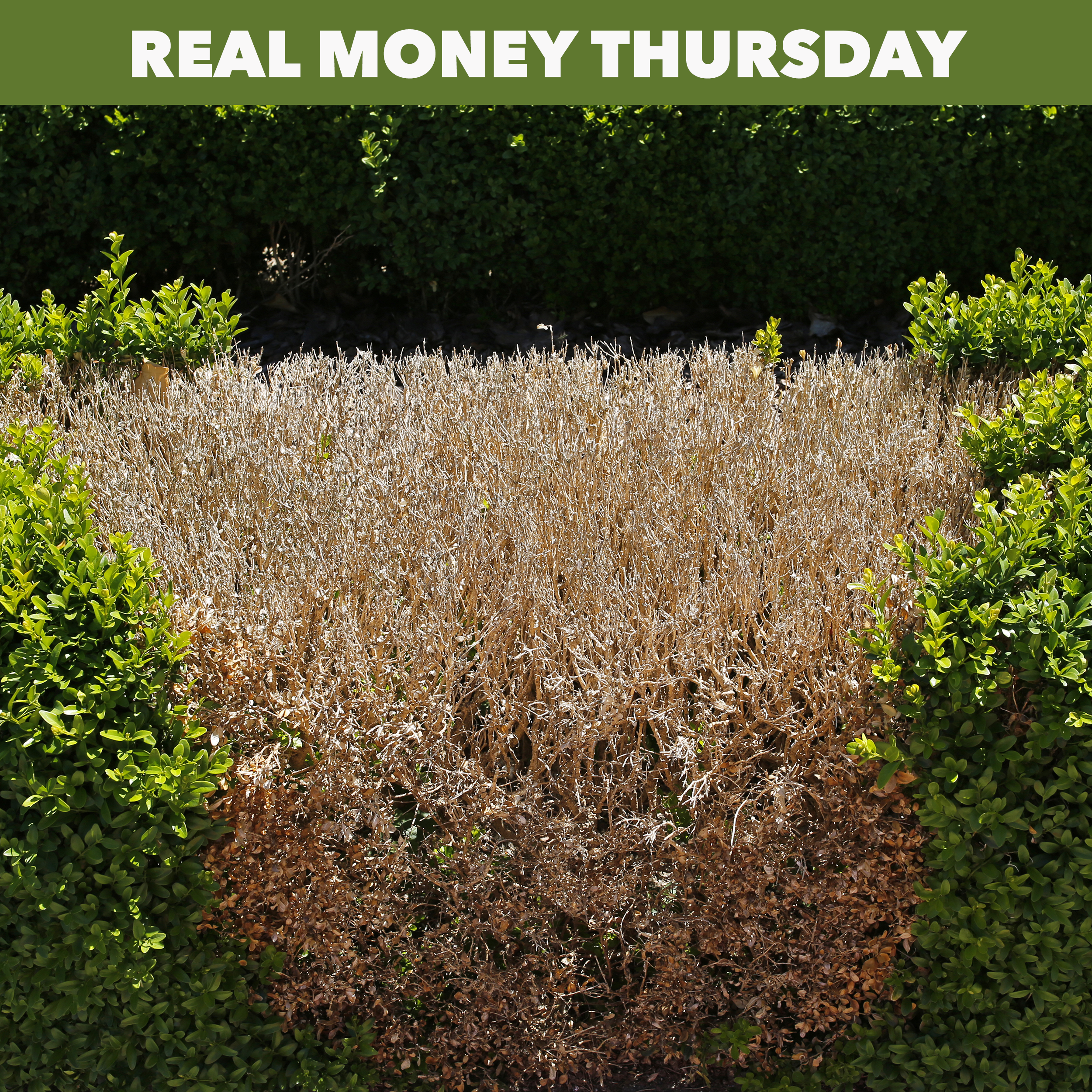 Who's getting rich with hedge funds? Probably not you!