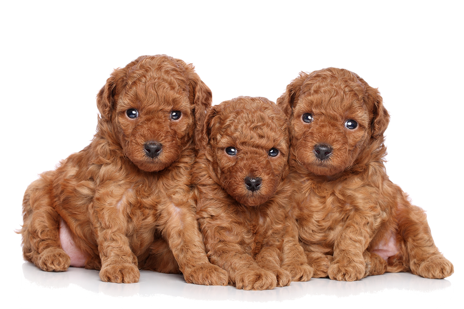 Talking Real Money: Newer, Shorter, More