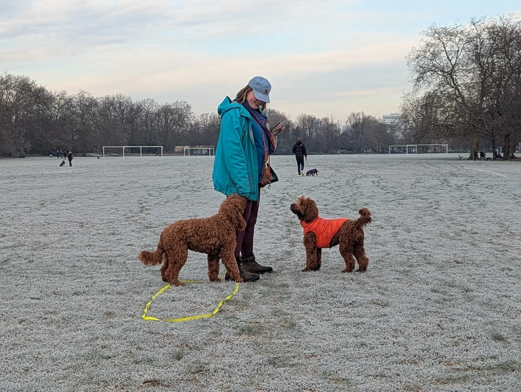 Loose Lead Walking: Step-by-Step Exercise for Building Calm, Focused Walks