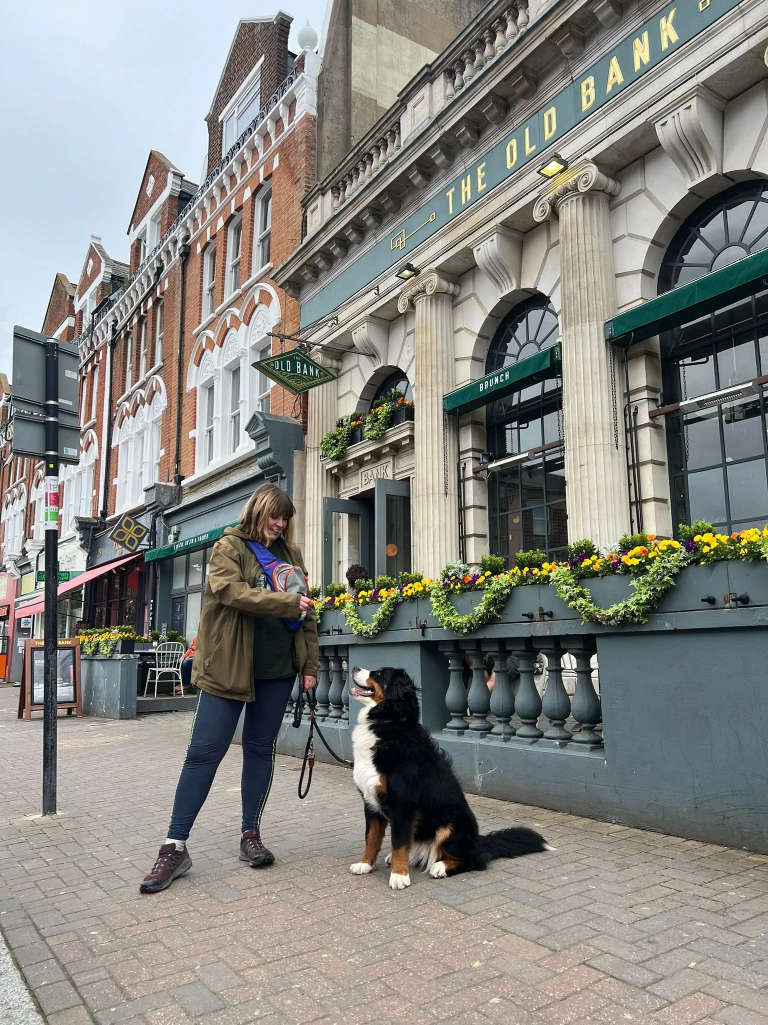 One to one dog training on Nortcote Road with Bernese Mountain dog
