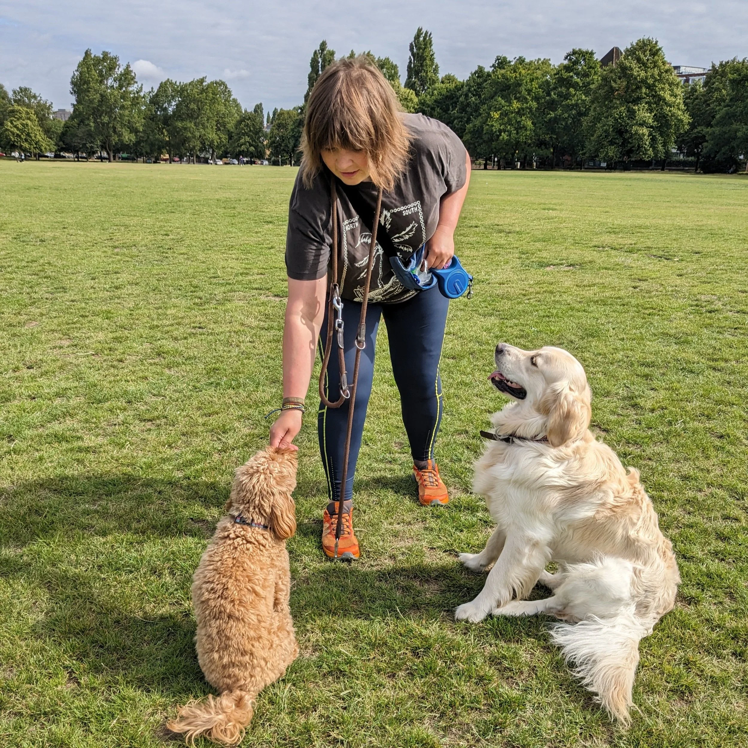 dog training Wandsworth Common