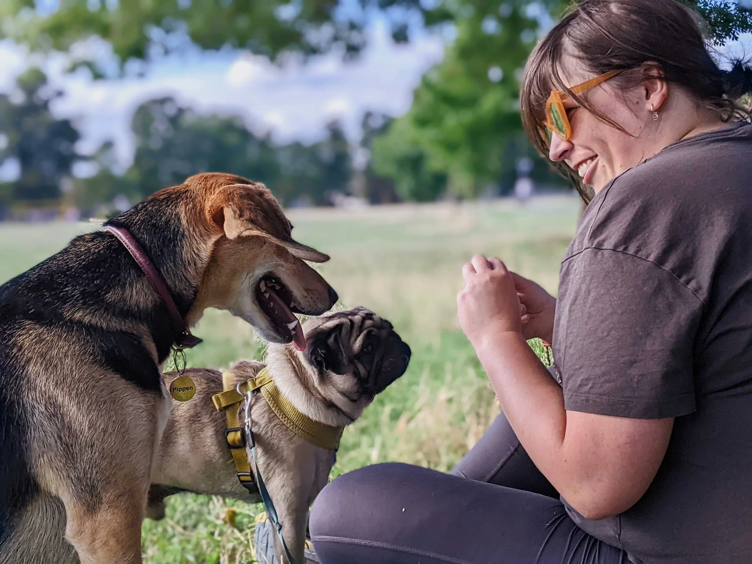 Dog training Wandsworth Common with two dogs