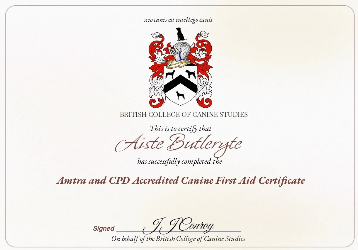 Certificate from the British College of Canine Studies awarded to Aiste Butteryste for completing a canine first aid course, featuring a coat of arms and a signature.